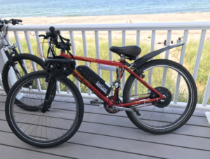 Vintage stumpjumper ebike at the beach