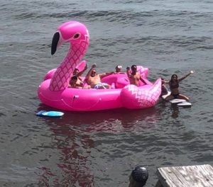 pink-flamingo-float